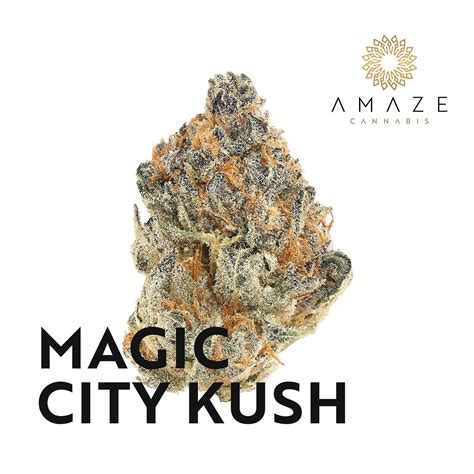 The Magical High: What to Expect from Magic City Kush Strain